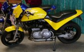 1999 Buell M2 Cyclone photo